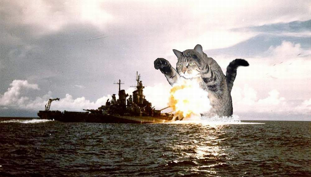cat exploding ship | Living, Loving, Listening, Learning